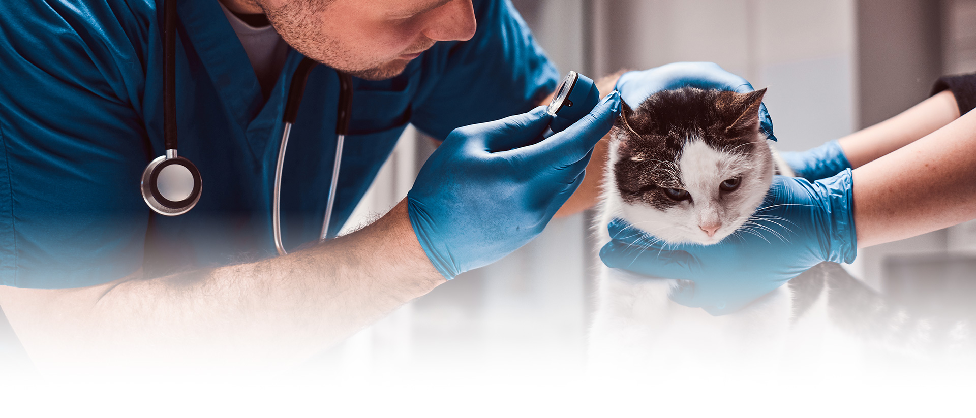 Ótica em Rio Claro - Melhor ótica de Rio Claro para comprar óculos